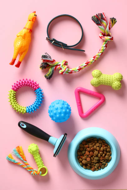 Pet Accessories