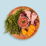 Pet Nutrition