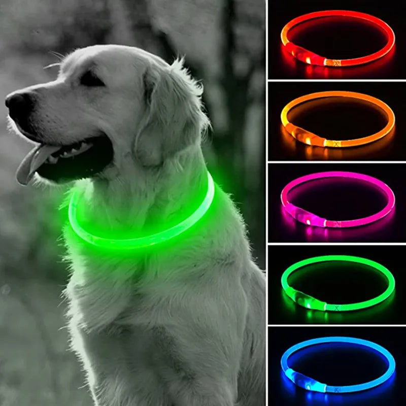 LED-Hundehalsband