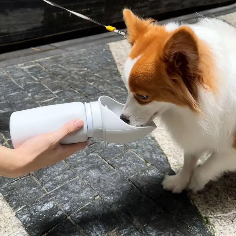 Faltbare Reise-Wasserflasche für Haustiere