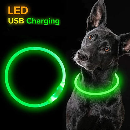 LED-Hundehalsband