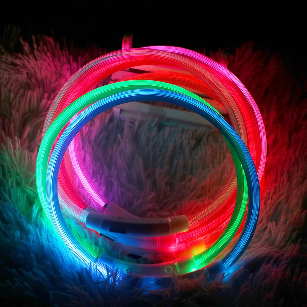 LED-Hundehalsband