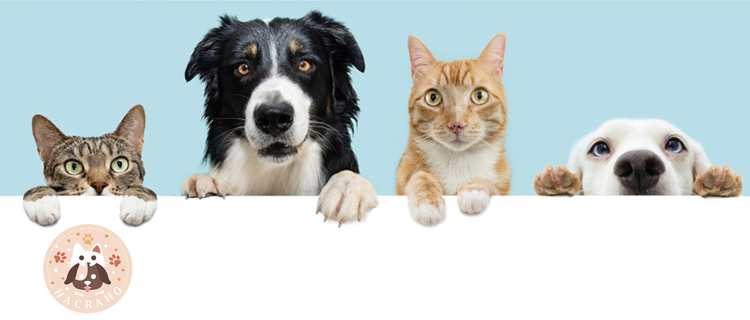 Crafted with Intention. Loved by Pets.